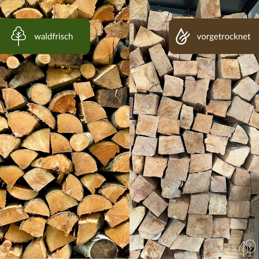 frisch oder getrocknet
